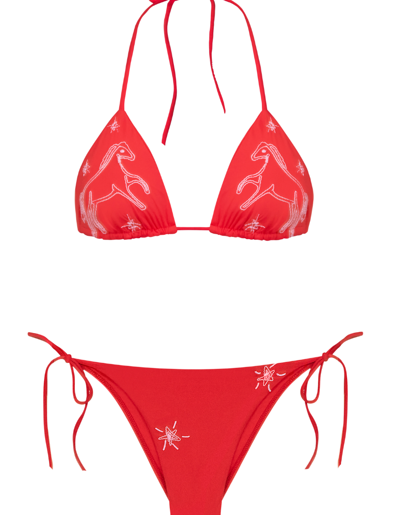 Amelie_Bikini_Crimson.png