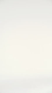 Margarita Top Merlot