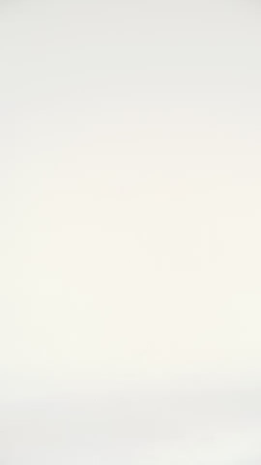 Margarita Top Merlot